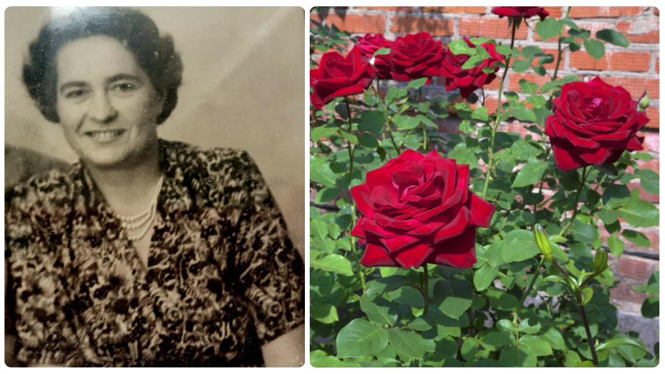 A Mother's Day Miracle