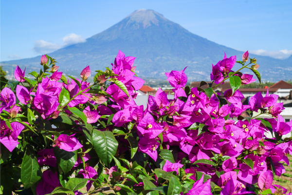 Indonesia